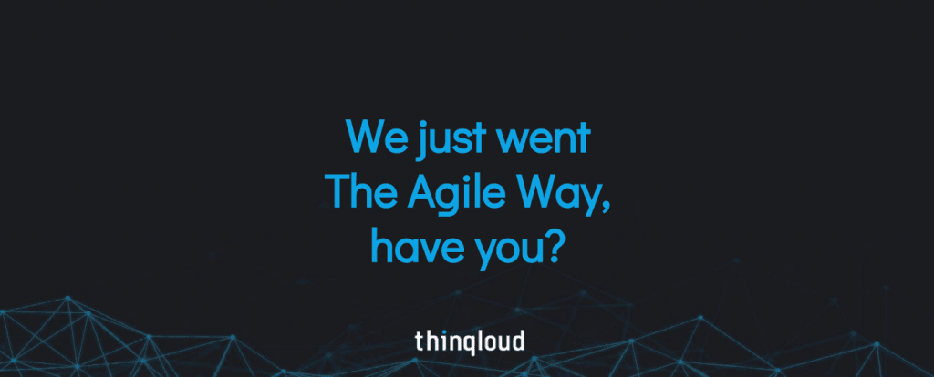 We-just-went-The-Agile-Way-have-you.png