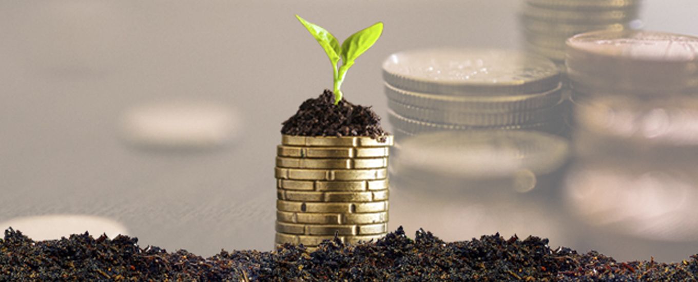 Wealth Management Solution for Financial Services Firm